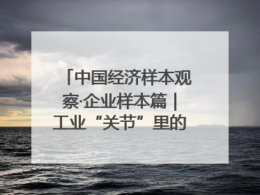 中国经济样本观察·企业样本篇｜工业“关节”里的硬核突围——老企业洛轴创新蝶变启示录